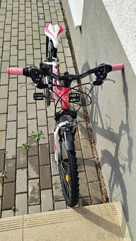 Dievčenský Bicykel CTM WILLY 2.0. - 7