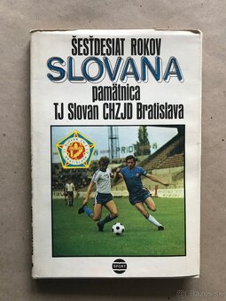 Dejiny Slovenska, Rebelanti a Suplikanti, Techniky maľby - 7