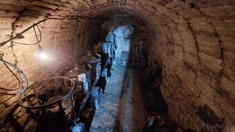 PREDAJ - poschodová chata s pivnicou a vinicou - 7