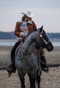 Pripúšťanie Quarter Horse - 7