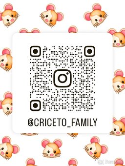 Darujeme nádherné mláďatá sýrskych škrečkov - 7