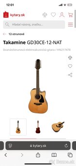12strunová Gitara - 7