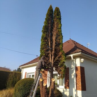 Záhradnícke práce, záhradnícke služby - 7