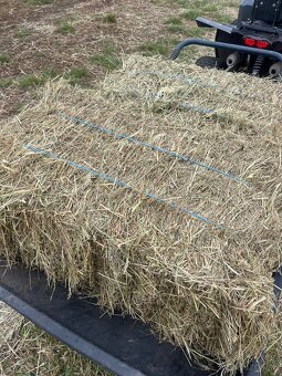 Predam seno male baliky - 7