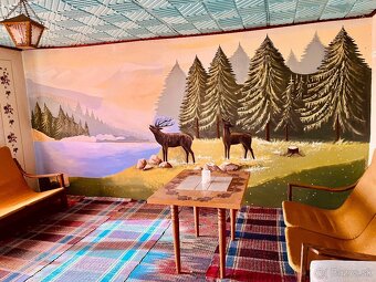 Znížená cena - Chata v prírode so slnečným pozemkom - 7