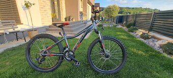 CTM Rocky 3.0 24" - 7