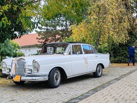 Svadobne auto na svadbu Mercedes 230 S, rv.1966 - 7
