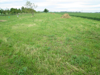 stavebny pozemok kosuty - 7