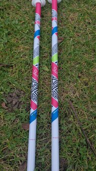 Detské lyže Tecnopro 110 - 7