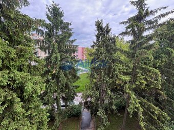 1-izbový byt po kompletnej rekonštrukcii vo výbornej lokalit - 7