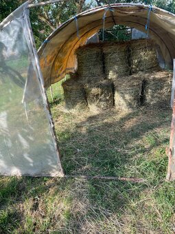 Seno tohtoročné - 7