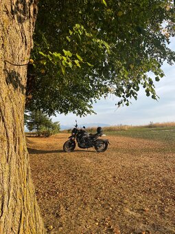 MOTO MORINI seiemmezzo SCR 6 1/2 - 7