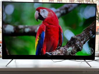 Samsung UE49K5102 FHD 123cm - 7
