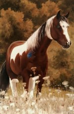 Ručne maľovaný obraz - Olejomaľba - zvieratá, domáci miláčik - 7