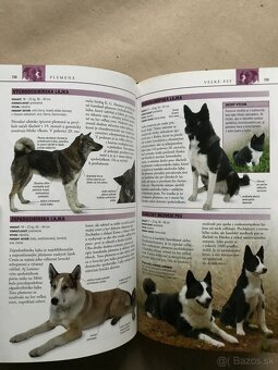 Bukovský, Psy, Golf Fyzika, Malý atlas húb, Slovenský futbal - 7