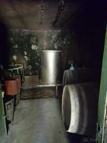 Vinohrad v Tokajskej oblasti - 7