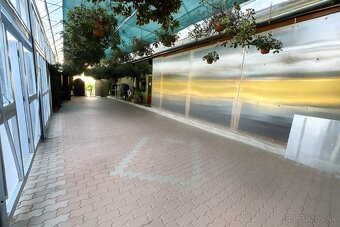 Reštaurácia + byt v Hrádku (Nové Mesto n.Váhom) - 7