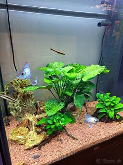 Akvárium juvel 125 - 7