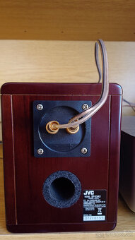 JVC EX A3 Wood cone - 7