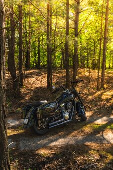 Kawasaki Vulcan 1600 Classic - 7