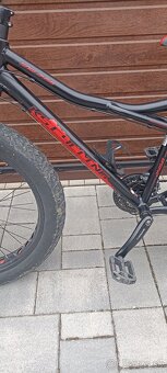 Fatbike - 7