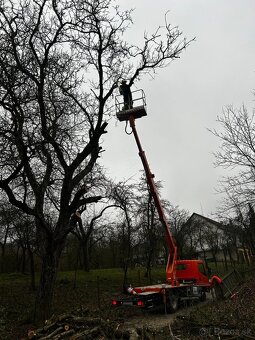 Pílenie stromov - 7