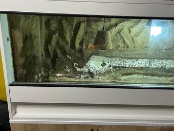 Terarium - 7