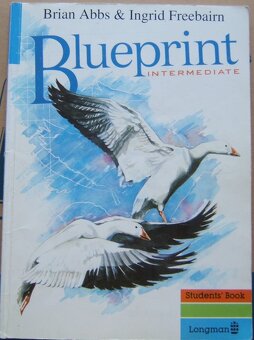 OPENING STRATEGIES, BLUEPRINT INTERMEDIATE, TWO - 7