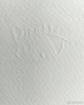 Predám krásne obrazy Monet, Picasso, Zrzavý - 7