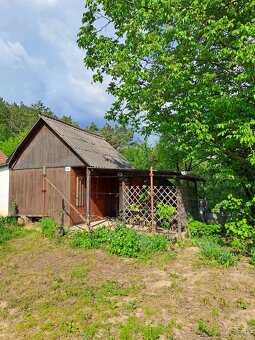 ZÁHRADA S CHATKOU A PIVNICOU pri Piešťanoch - 7