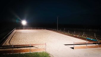 Ustajnenie - 7