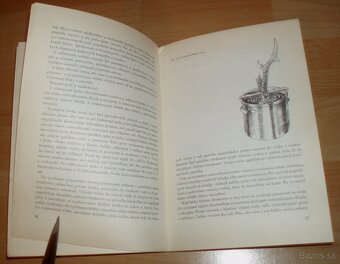 Poľovnícke trofeje a výrobky - 7