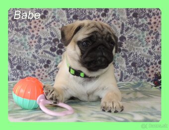 MOPS s PP. - 7