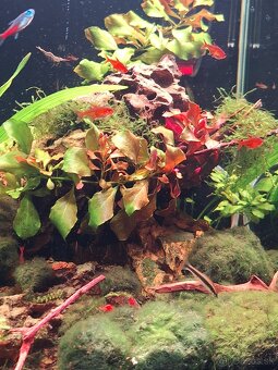 Akvárium NanoCube Dennerle 60l - 7