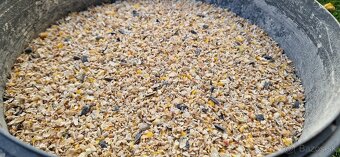 Krmivo pre nosnice - 7