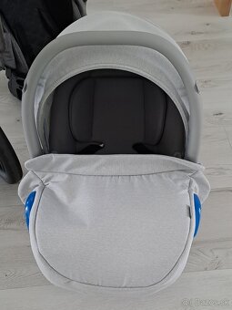 Kočik trojkombinácia okolie Nové Zámky a Šurany - 7