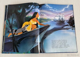 Disney Luxus - 7