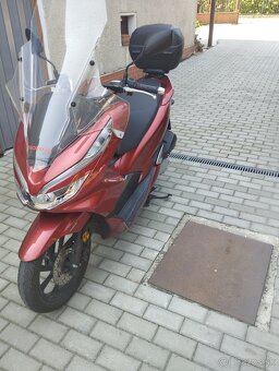 PCX HONDA 125cm - 7
