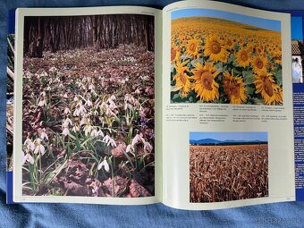 Kniha Košický kraj Alexander Jiroušek - 7