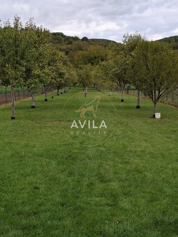 Na predaj rodinný dom – Moravské Lieskové, časť Brestové - 7