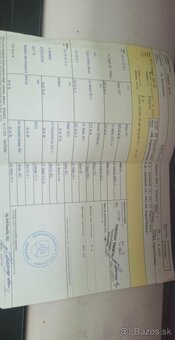 Predám 14 ročnú kobylku shagia arab - 7