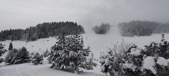 Prenájom chaty v Pieninách – Litmanová - 7