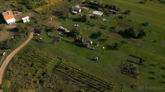 Veľký POZEMOK s IS v Skalici, 3927 m2, lokalita Kravie hory - 7