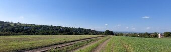Na predaj široký pozemok v Skalici - 7
