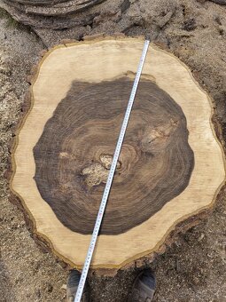 Orechové kolieska - 7