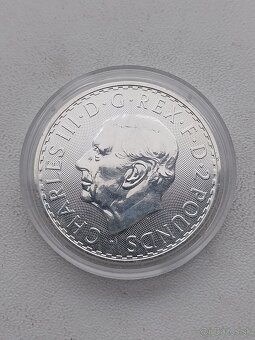 Strieborne investičné mince 1 OZ - 7