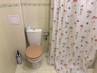 Ponúkam na Prenájom 1-izbový byt - 7