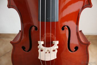Violončelo 3/4, 4/4 - 7