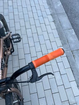 Bmx barcode 2020 - 7