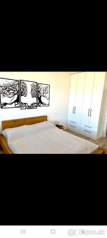 3 izbový konfortne zariadený byt na prenájom - 7